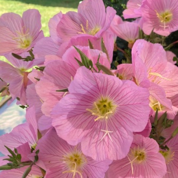 "When in doubt, wear a dress" - Picture 13 of 13